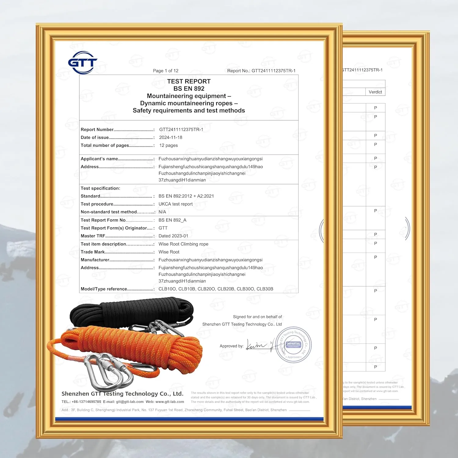 8mm Static Climbing Rope: Heavy Duty Outdoor Rock Climbing Rope for Arborist Tree Work, Rescue, Camping & Hiking, (10m/32ft, 20m/64ft, 30m/96ft) Orange/Black