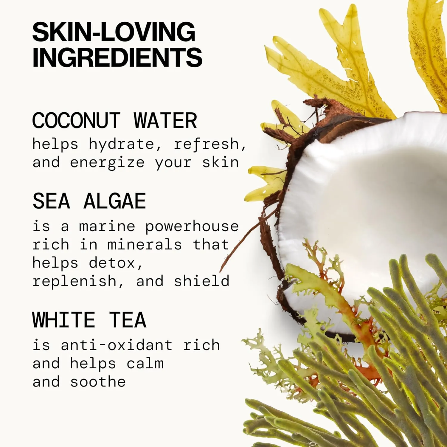 Pacifica Beauty Sea Foam Face Cleanser, Daily Gentle Foaming Face Wash, With Coconut Water   Sea Algae Complex, Removes Makeup, For Combination and Oily Skin, Vegan and Cruelty Free, Clean Skin Care